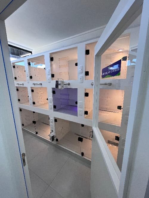 Sala de internação da clínica VetSer